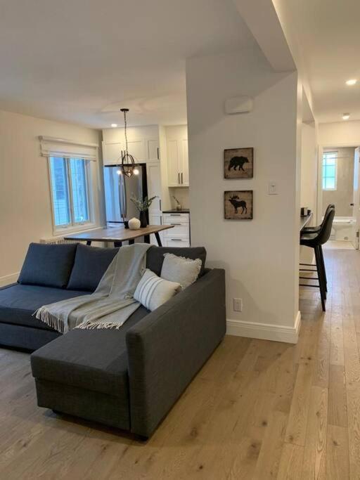 Free Parking, Beautiful 4 1/2- 2 Bedroom Apartment Montreal Luaran gambar